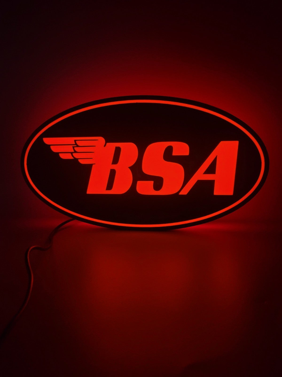 BSA Light Box Sign