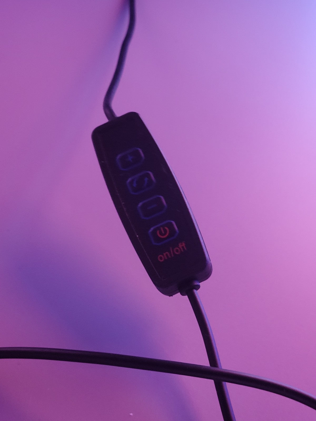 Domino's Light Box Sign