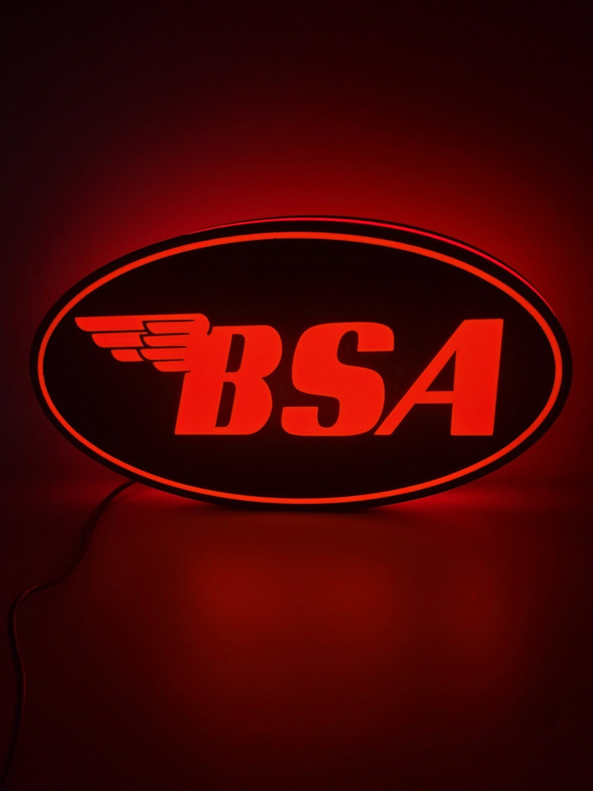 BSA Light Box Sign